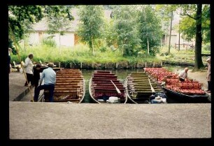Spreewald 26.7.84.