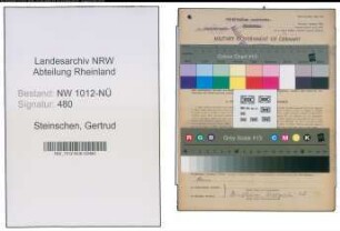 Entnazifizierung Gertrud Steinschen , geb. 11.08.1888 (Landwirtin)