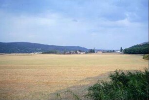 Blick durch die Saaleaue zum Ort