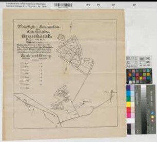 Arenshorst (Bohmte) Wirtschafts- und Bestandskarte der Forsten des Rittergutes Arenshorst 1920 1 : 10 000 44 x 42,5 Druck Ledebur-Crollage K Nr. 4