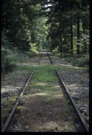 Feldwegübergang in km 19+590