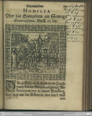 Homilia Uber das Evangelium am Sontage Septuagesima, Matth. 20. cap.