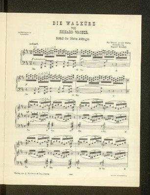 Die Walküre von Richard Wagner. Schluß des letzten Aufzuges.