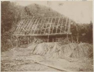 Bilder aus dem bolivianischen Urwald