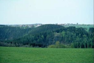 Blick zum Ort