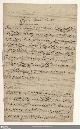 Oboe e Flauto Trav[erso]. IIdo