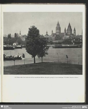 Das Rheinbecken bei Mainz