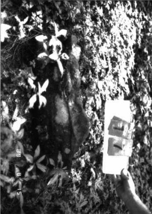Grabstein 17 (Index: 100105624) Material: Sandstein Zustand: Fragment, gespalten, nur Sockel erhalten Beschreibung: Sockel: Grabstein 17