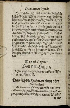 Das 26. Capitel. - Das 44. Capitel.