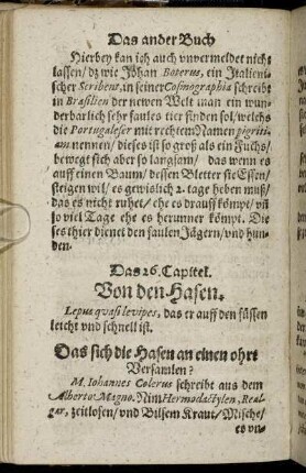 Das 26. Capitel. - Das 44. Capitel.