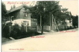 Kipsdorf. Villa Stadthütte