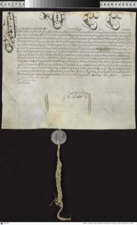 Aussteller: Pius VI. Empfänger: Klerus von Plock. Betreff: Erhebung des Grafen Johann Nepomuck Karl von Hohenzollern-Hechingen zum Bischof von Dibona [Dhiban in der römischen Provinz Syria Palaestina] und zum Coadjutor c.i.s. des Andrzej Ignacy z Broniewic Baier, Bischof von Kulm.