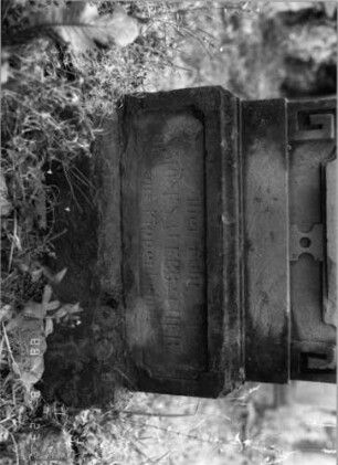 Grabstein 93 (Index: 100096128) Maße HxBxT: 153x44x16 cm Symbolik: Rebstock: Grabstein 93B