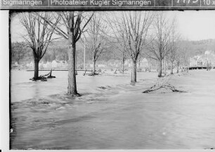 Donauhochwasser; Burgstraße, Blick auf Leopoldstraße, Brenzkofer Berg