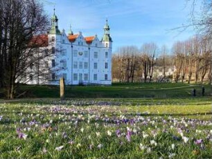 Ahrensburg: Herrenhaus (Museum Schloss Ahrensburg): Gartenseite, davor Wiese mit Krokusblüten im Frühjahr