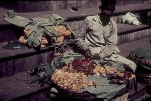 Reisefotos. Blumenhändler (vielleicht in Indien)