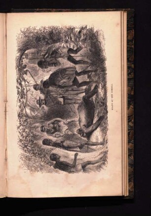 Death of the Gorilla