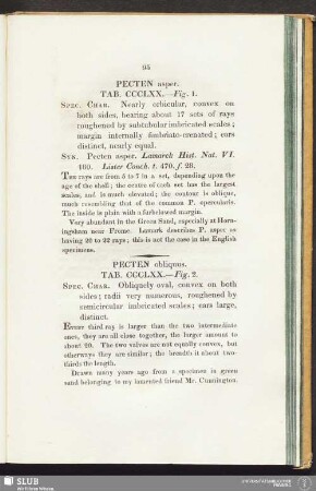 Pecten asper. Tab. CCCL XX. - Fig. 1