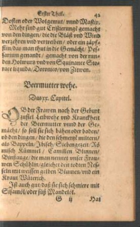 Beermutter wehe. Das xx. Capitel.