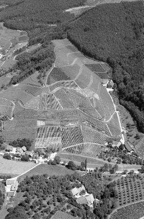 Durbach: Ortszentrum und Durbachtal