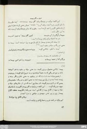 دوم - گاوپیسه