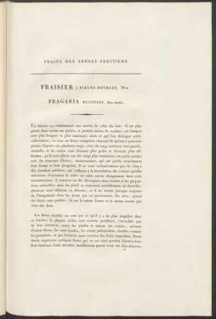 Fraisier. A Fleurs Doubles. Duh. Fragaria. Multiplex ...