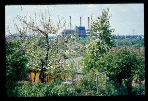Spandauer Berg 18.5.70.