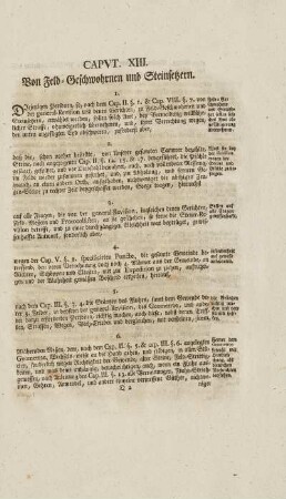 Capvt XIII. Von Feld-Geschwohrnen und Steinsetzern