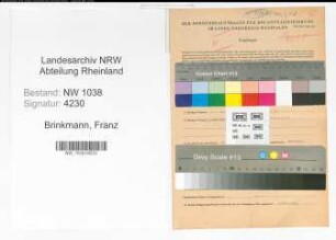 Entnazifizierung Franz Brinkmann , geb. 01.01.1880 (Rechtsanwalt)