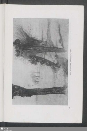166. Weidenbach bei Neuostra, 1895