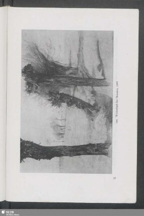 166. Weidenbach bei Neuostra, 1895