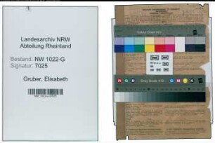 Entnazifizierung Elisabeth Gruber , geb. 07.02.1898 (Lehrerin)