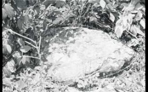 La Florida, Stela 1 (FLD: St. 1)