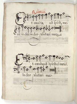 Quintus Tonus