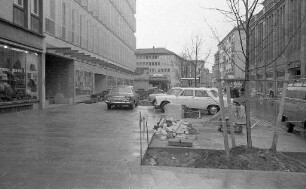 Anpflanzung von Bäumen in der Lammstraße vor dem Technischen Rathaus.