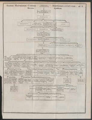 Stemma Madrutiorum Comitum Marchionum extinctorum, uti & Baronum superstitum