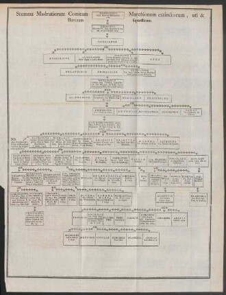 Stemma Madrutiorum Comitum Marchionum extinctorum, uti & Baronum superstitum