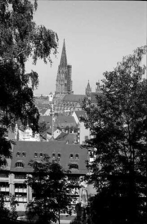 Freiburg i. Br.: Schlossberggarage: Dächer und Fassade vom Schlossberg aus