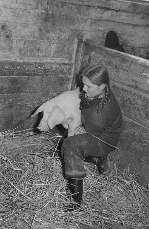 Reportage vom Volksgut Struppen : Mädchen mit einem Schwein