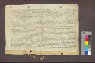 Gültverschreibung des Berthold von Staufen gegenüber der Liebfrauen-Bruderschaft in Kirchhofen von Reben in Staufen.
