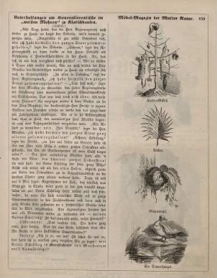 "Möbel-Magazin der Mutter Natur"