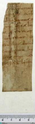 De arte metrica, Fragment - Cod. Aug. Fr. 132