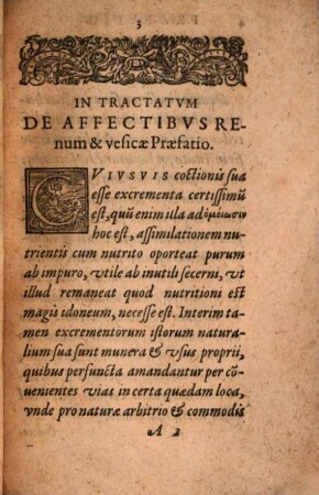 Tractatus de affectibus renum et vesicae
