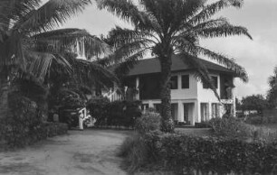 Europäerhaus : Palmenbewachsene Auffahrt zu einem Haus in europäischem Baustil.