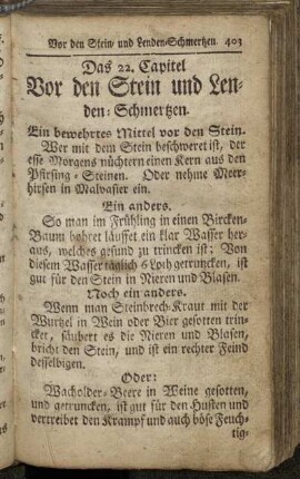 22. Vor den Stein und Lenden-Schmerzen