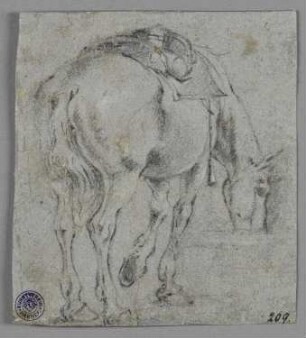Pferd an der Tränke
