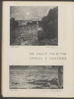 XII Salón Nacional Pintura y Escultura