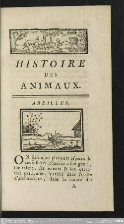 Abeilles