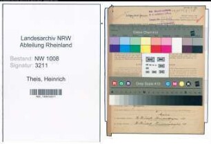 Entnazifizierung Heinrich Theis , geb. 12.02.1887 (Landwirt)