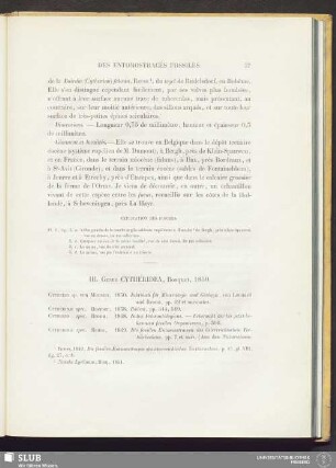III. Genre Cytheridea